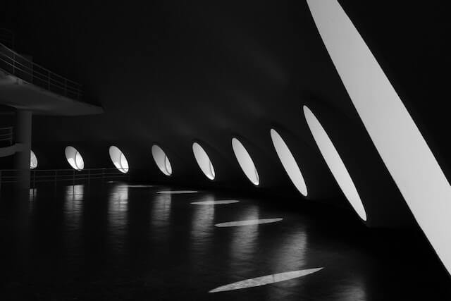 金毛宠物殡葬注意事项 宠摆渡经验分享配图
