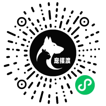 关注宠摆渡公众号二维码